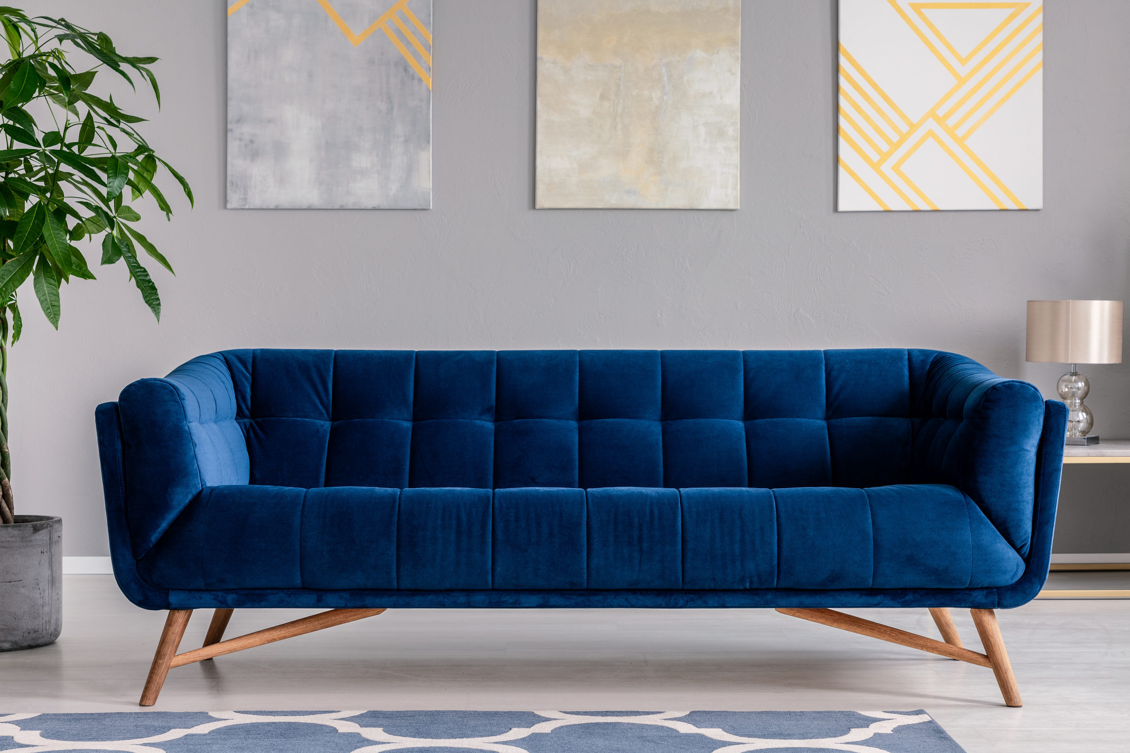 Close-up of a modern sofa and plant in a living room interior with three paintings on the wall in the background